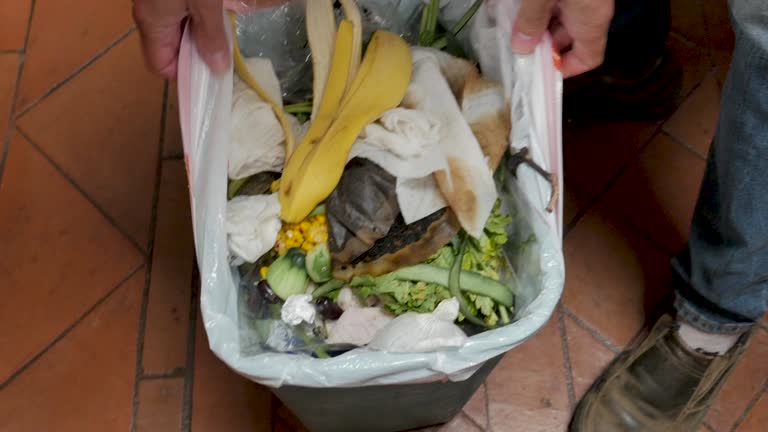 Reliable Great Neck Plaza, NY Junk Removal Services Solutions